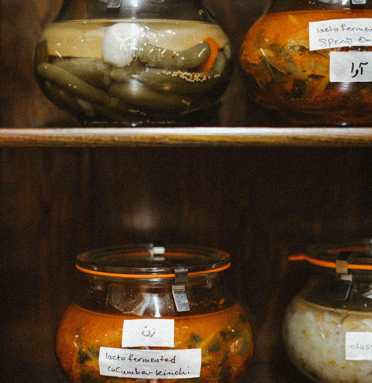 همه چیز درباره پروبیوتیک ها