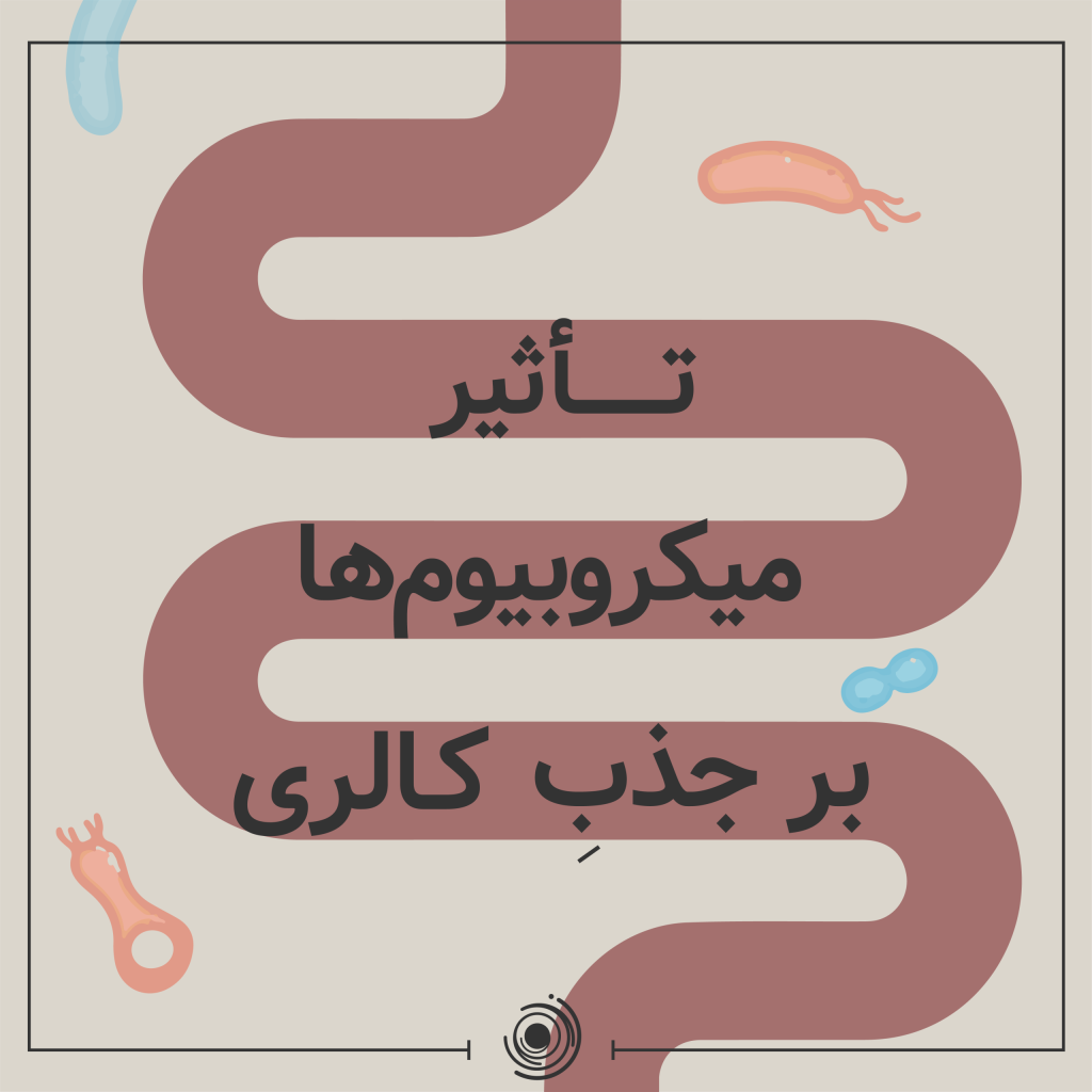 نقش میکروبیوم در کاهش وزن