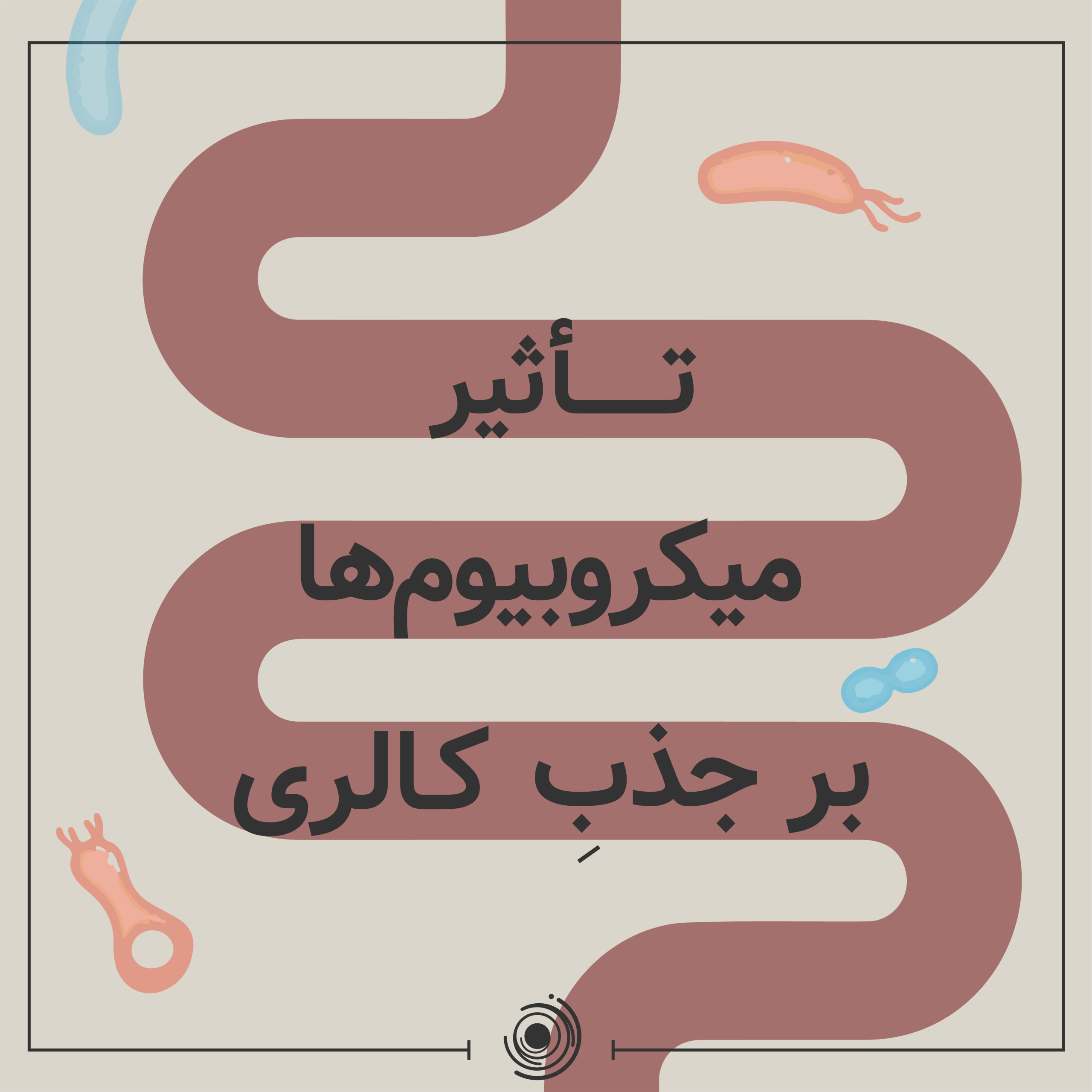 نقش میکروبیوم در کاهش وزن