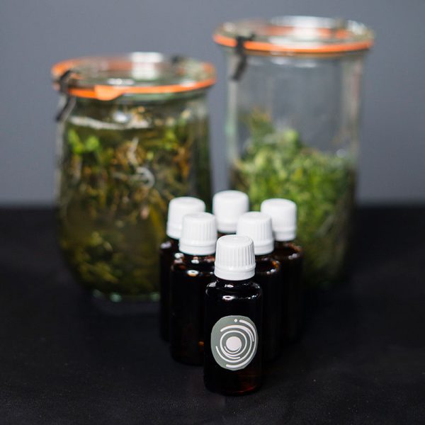 روغن پونه کوهی